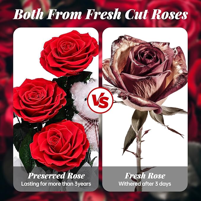 Flowers Forever Roses in A Box, 3 Real Roses with Stems and Bear, Eternal Rose Gifts for Her,Birthday Gifts for Women, Mom,Girlfriend,Grandma,Daughter,Red