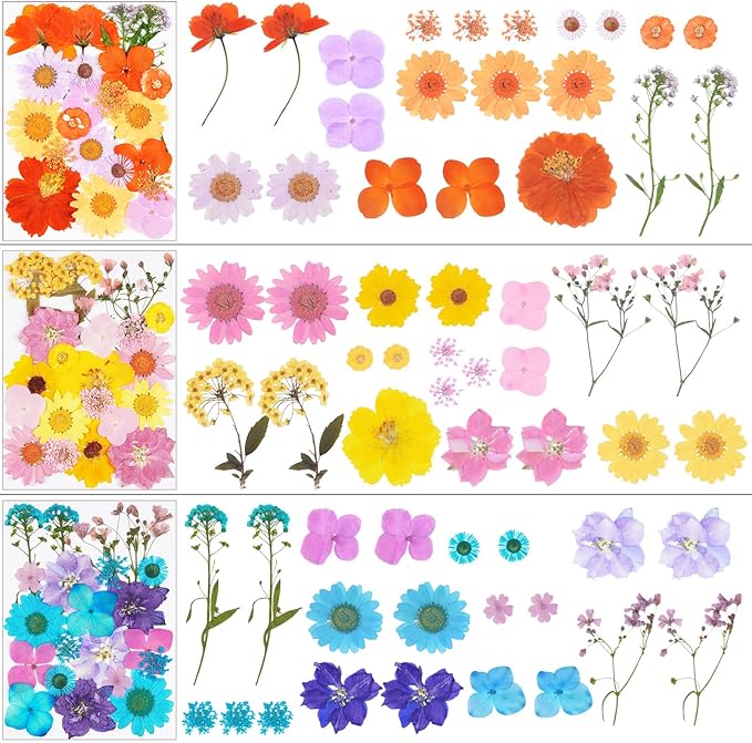 190Pcs Dried Pressed Flowers for Crafts,Xinxinran Dry Flower Kit for Resin Molds,Epoxy Resin Accessories,Bookmark,Nails, Jewelry Molds,Candle Making Supplies,Soap,Frame(Bright Color)
