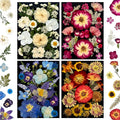92Pcs Pressed Dried Flowers for Resin, Real Assorted Natural Bulk Dry Floral Leaves for DIY Art Crafts, Epoxy Molds, Jewelry, Soap, Candle Making, Nails Decors