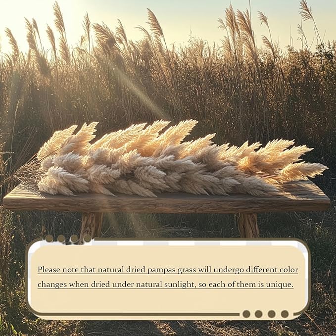20 Stems Natural Pampas Grass Decor 40" Tall Dreid Pampas Grass for Wedding, Party, Farmhouse, Fluffy Dreid Flowers Boho Home Decor Beige & White