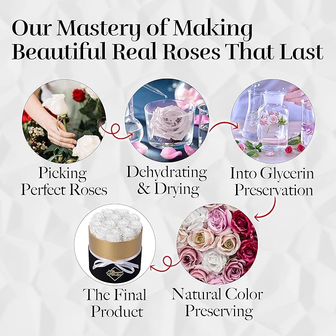GLAMOUR BOUTIQUE Eternal Preserved Roses in a Box - Flowers Forever, Rose Forever in a Box for Wife, Birthday Gifts for Her, 12 Roses, White