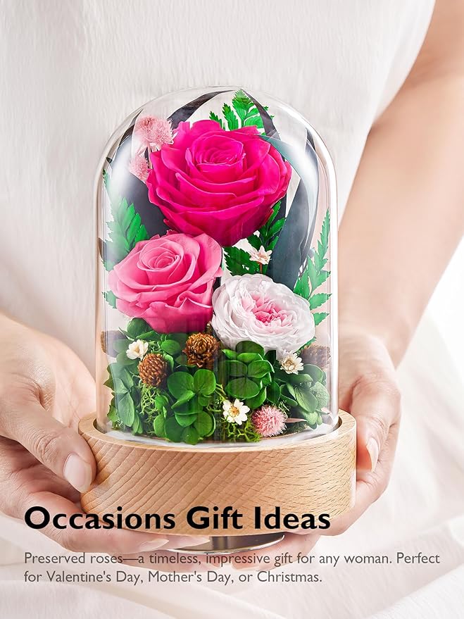 Eterfield Flowers for Delivery Prime, Christmas Preserved Roses Gifts for Women - Forever Flower in Glass Dome Birthday Gifts for Mom Wife Grandma Her Valentine’s Day (Hot Pink, Cylindrical)