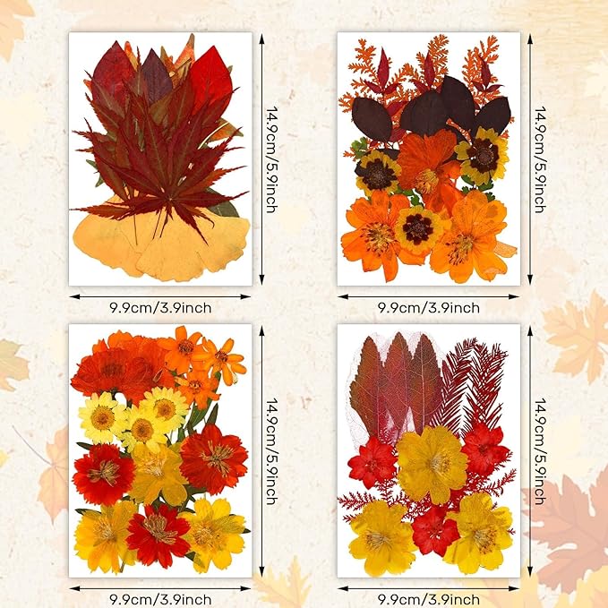 Augshy Fall Dried Pressed Flowers Orange Pressed Fall Leaves for Crafts Resin Molds Real Red Brown Yellow Pressed Leaves for Scrapbooking, Epoxy Resin Supplies