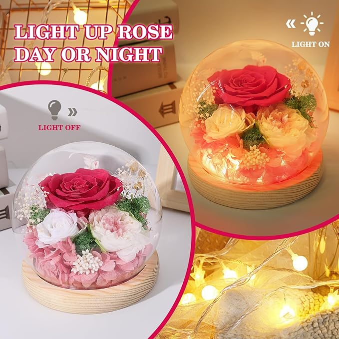 FIACO Preserved Rose Birthday Gift for Women Forever Fresh Flowers for Prime Delivery Gift for Mom Grandma Wife Valentines Mothers Day Christmas Anniversary Eternal Roses in Glass Dome