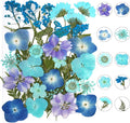 30Pcs Dried Pressed Natural Flowers for Resin Molds Real Pressed Flowers Dry Leaves Bulk Natural Herbs Kit for DIY Scrapbooking Art Crafts Jewelry Molds Candle Soap Making Nails Decor (Blue)
