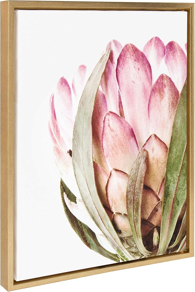 Kate and Laurel Sylvie Pink Protea Flower Framed Canvas Wall Art by Amy Peterson, 18x24 Gold