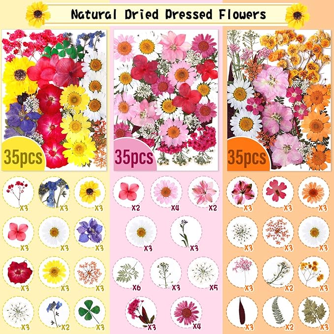 Nuanchu 167 Pcs Real Dried Pressed Flowers Natural Dried Flowers Colorful Daisy Mixed Wildflowers Leave for DIY Candle Resin Nails Jewelry Pendant Crafts Floral Art(Bright Color)