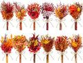 12/24 PCS Charming Dried Flowers Bouquet for Vase Various Dried Wildflowers with Stems Mini Handmade Wildflowers Natural Real Flowers Bulk Flowers Craft (Burnt Orange Series, 12PCS)