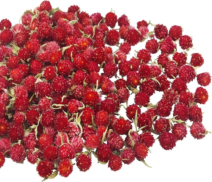 220 Pcs Dried Flowers Heads for Crafts Red Globe Amaranth Natural Dried Gomphrena Globosa Flower Bulk Dry Flower Arrangements for Wedding Decor Home Party Headband DIY
