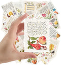 Large Stickers 24 pcs (2.5"x3.5" Each) Antique Calligraphy Book Illustration Vintage Postcards Retro Greeting Card Reprint