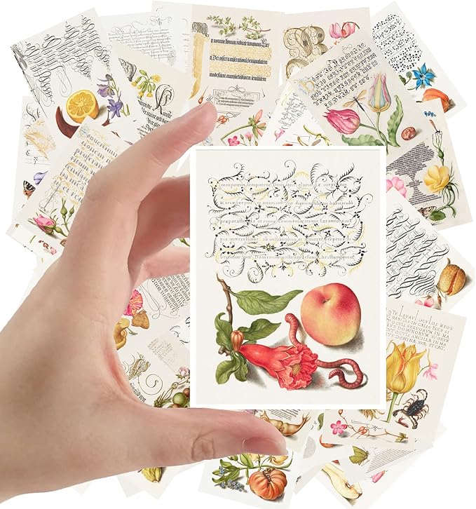 Large Stickers 24 pcs (2.5"x3.5" Each) Antique Calligraphy Book Illustration Vintage Postcards Retro Greeting Card Reprint
