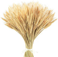 Uieke 17.7 Inches Dried Wheat Stalks, 400 Stems Dried Flowers 100% Natural Wheat for Home Kitchen Wedding Party Table Centerpiece Harvest Wreath Boho Farmhouse DIY Decoration