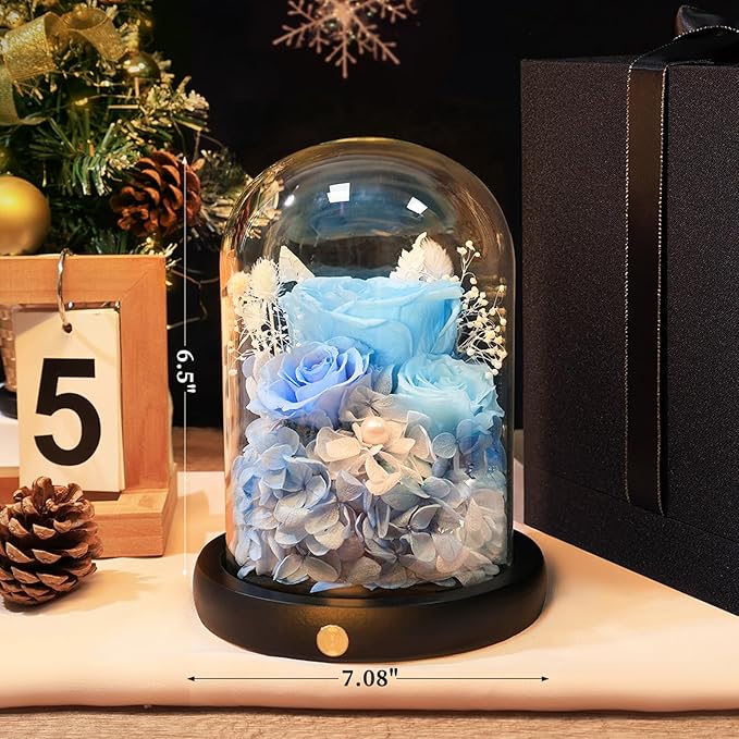 FIACO Preserved Flowers Rose Gifts for Women, Birthday Gifts Eternal Rose in Glass Dome Long-Lasting Real Forever Flowers Gifts for Mom Grandma Wife Girlfriend