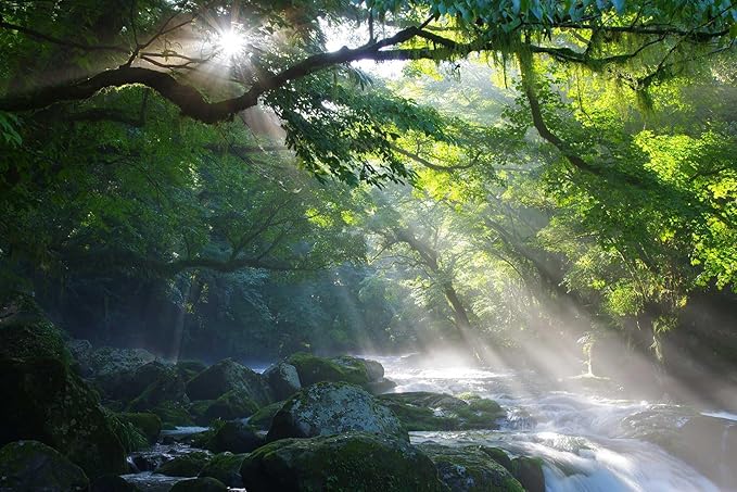 Mountain Stream and Beams of Light Mural with Sunlight Shining on The Running Water in The Forest Wall Mural, Non-self-Adhesive Wallpaper（Non-self-Adhesive）