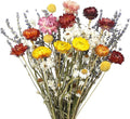 Dried Daisy Flowers Bouquet Natural Lavender Bundles Dried Gerber Daisies Craspedia Flowers Dried Daisies Multicolor Floral Arrangements for Wedding Party Table Centerpiece Decor Farmhouse DIY