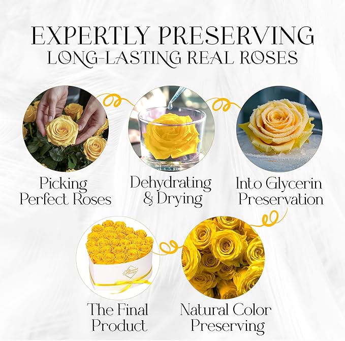 GLAMOUR BOUTIQUE Preserved Roses in a Box - Gifts for Her, Wife & Mom, Rose Flowers Forever Decor for Birthday Gift, Get Well Flower Bouquet Cased in White Box with Cover - Yellow - 27-Piece