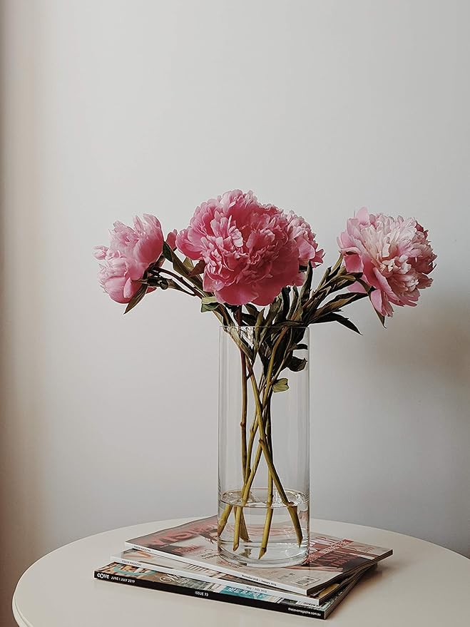 WGV Cylinder Vase Bulk, Diameter 5", Height 10", Clear Glass Floral Planter Container, Floating Candle Holder for Wedding Party Event Home Office Decor, 12 Pieces