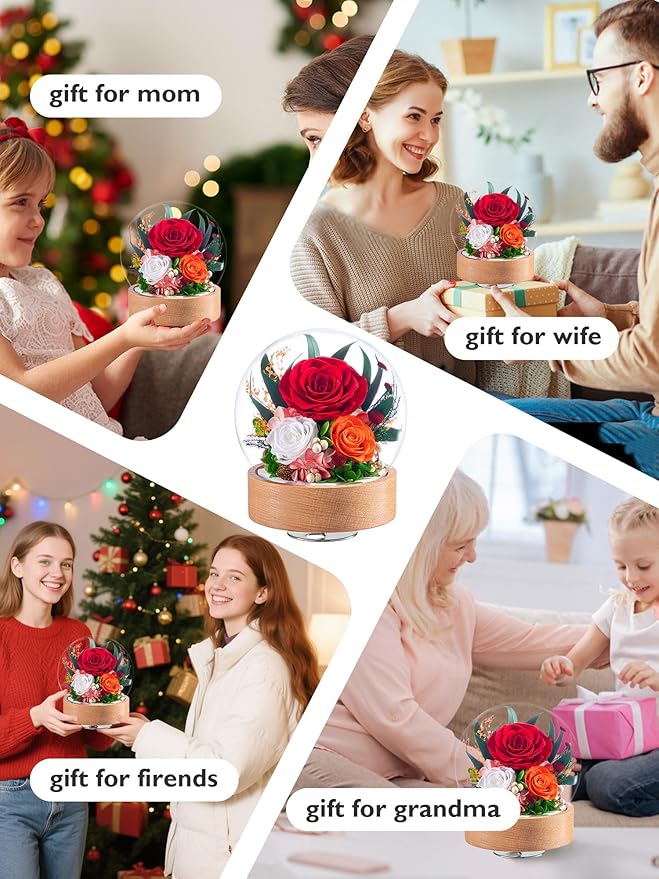 Eterfield Flowers for Delivery Prime, Christmas Preserved Roses Gifts for Women - Forever Flower in Glass Dome Birthday Gifts for Mom Wife Grandma Her Valentine’s Day (Red, Sphere)