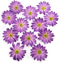 Fabric Daisy Flower Head in Bulk 12 Pcs, Purple Flowers Artificial Daisy Flower Heads for Crafts, 3.5 Inch Faux Flowers Silk Daisy Flower Heads for Hats, Costume, Home Wedding, Christmas