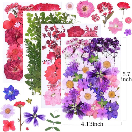 146Pcs Dried Pressed Flowers for Crafts,Xinxinran Dry Flowers Kit for Resin Molds,Epoxy Resin Accessories,Bookmark,Nails, Jewelry Molds,Candle Making Supplies,Soap,Frame