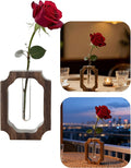 Solid Wood Frame Glass Tube Vase for Home Office Desktop Decor for Presents, Single Rose/Bud Vase, Wooden Centerpiece Vase Table for Restaurant Cafes Hotel(Small, Classic, 1 Pack)