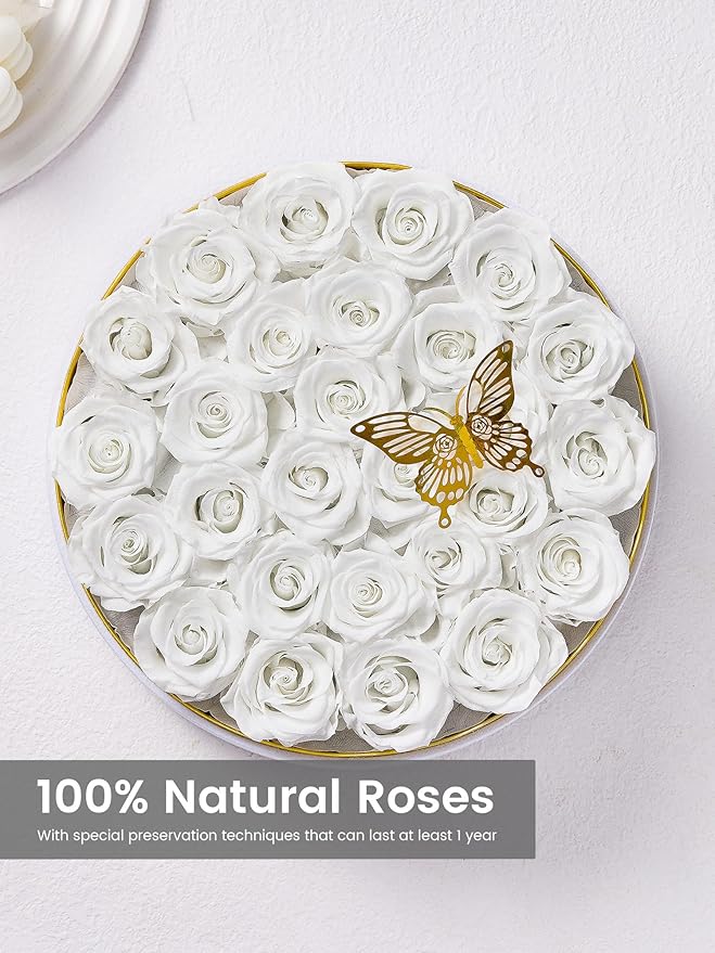 Preserved Roses Forever Flowers Real Roses in a Box Mother's Day Birthday Flowers for Her Mom Women Wife Valentine's Day, 27 White Roses