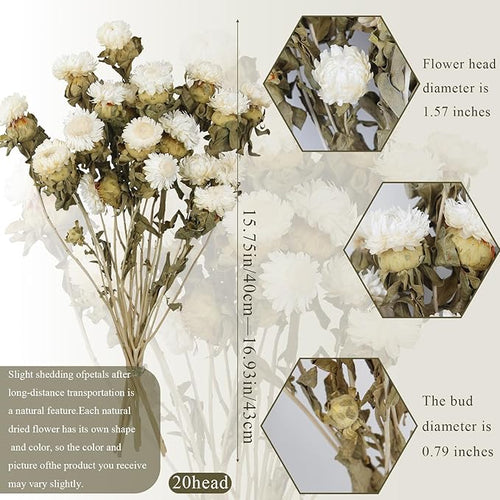20 Pcs Dried Daisy Flower Bouquet Natural Dried Gerber Daisies Flowers Bundles Real Dried Flowers Mums Chrysanthemum Floral Arrangements for Wedding Party Table Centerpiece Decor Farmhouse