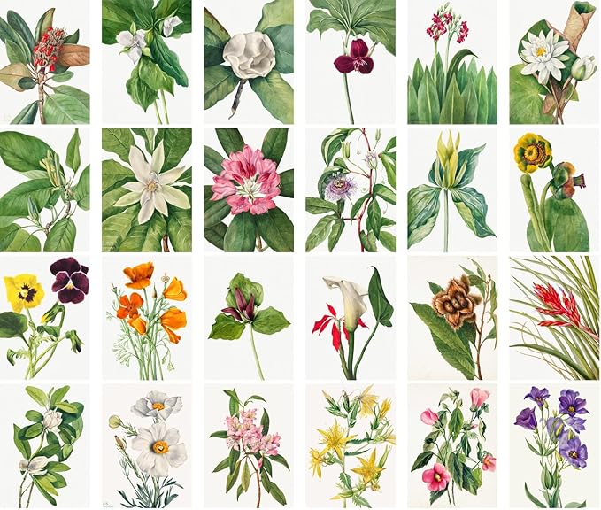 Large Stickers 24 pcs (2.5"x3.5" Each) Garden Flowers and Wildflowers Antique Botannical Book Illustration Vintage Postcards Retro Greeting Card Reprint