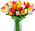 20pcs Tulips Artificial Flowers 14" Fake Flowers Slik Real Touch Tulips Faux Flowers for Spring Easter Mother's Day Table Decor Wedding Bouquet (Colorful)