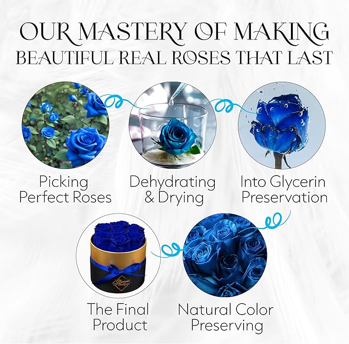 GLAMOUR BOUTIQUE Eternal Preserved Roses in a Box - Flowers Forever, Rose Forever in a Box for Wife, Birthday Gifts for Her, 7 Roses, Blue