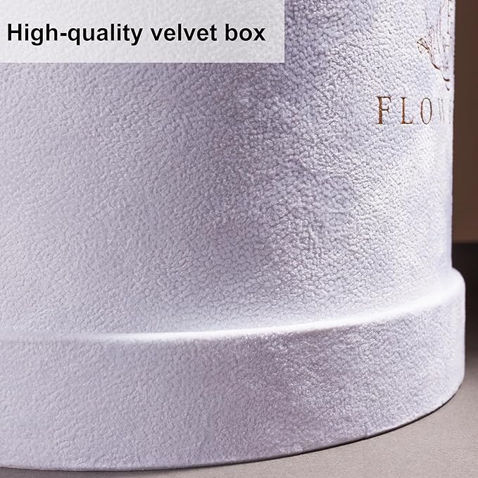 27 Flowers in a Luxury Suede Box, Birthday Gifts for Women, Preserved Flowers, Mothers Day Roses Gift for Mom, Champagne