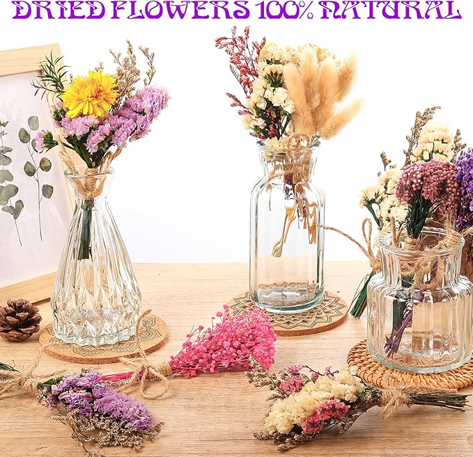 10 Pack Pro Size Dried Flower Bouquets Various Natural Dried Flower Combinations with Stem Dried Embossing Flower Dry Floral Arrangement for Vase, Carfts, DIY, Wedding, Home Decor (Pro)