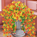 Artificial Flowers for Outdoors 6PCS，All Weather Fade Proof, UV Resistant Waterproof Realistic Faux Silk Mums Daisies Yellow & Orange for Hanging Planters Porch Patio Balcony Deck Fence Garden Decor