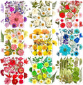 182Pcs Dried Pressed Flowers for Resin Molds, Assorted Real Natural Bulk Dry Floral Leaves for DIY Art Crafts, Epoxy Jewelry, Candle, Soap Making, Nails Decors Gifts