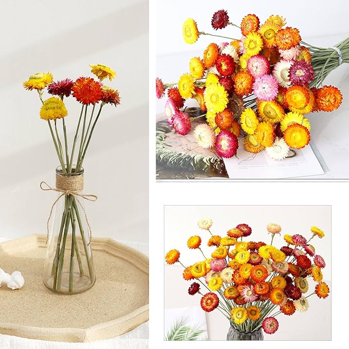 Dried Flowers Natural Daisy Mums Flower - 20 Stems Multicolor Daisies Artificial Sunflowers, Dry Fall Orange Flowers Bouquets for Vase, Wedding Home Farmhouse Decor, DIY Table Centerpiece Decoration