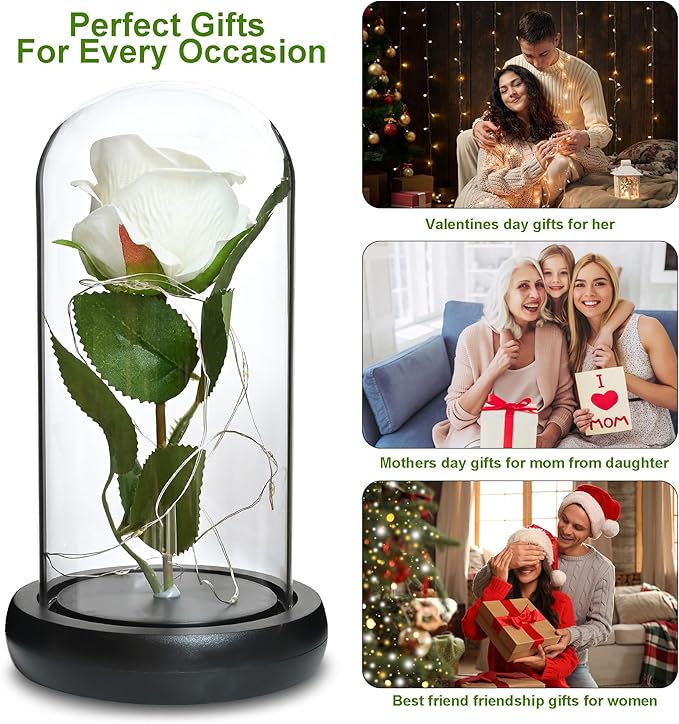 QUELIEN White Roses in Glass Dome,Eternal Rose Gift for Women,Lasts Forever Home Decor,Mother's Day Christmas (White)