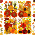 90Pcs Fall Pressed Dried Flowers for Resin, Real Assorted Autumn Natural Bulk Orange Dry Floral Leaves for DIY Art Crafts, Epoxy Molds, Jewelry, Soap, Candle Making
