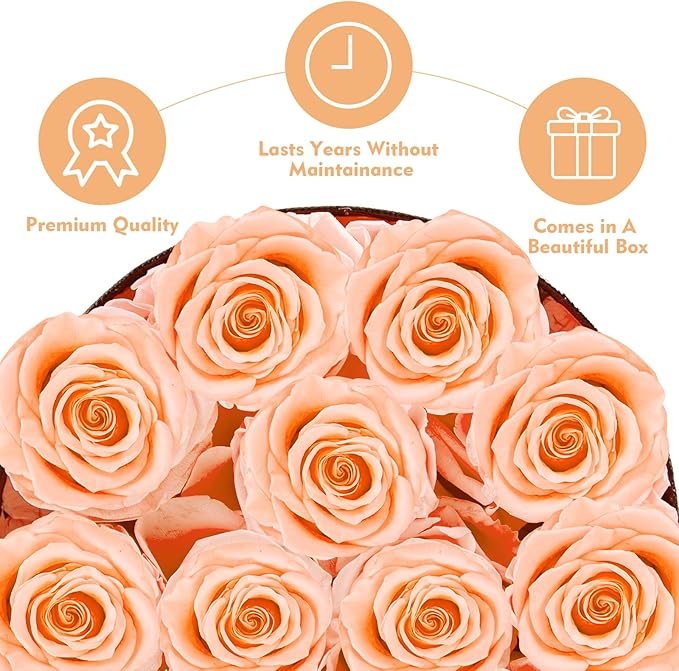 Forever Flowers,12 Roses in A Box, Real Preserved Flowers, Best Birthday, Wedding Gift for Her, Mom, Wife-Champagne Roses