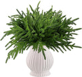 6 Pcs Norfolk Pine Stems Real Touch Norfolk Pine Branches Realistic Christmas Greenery Evergreen Stems for Decorating Christmas Indoor Home Decor