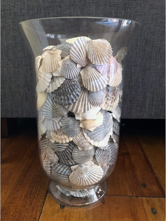 WGV Unique Bouquet Vase, 7" W, 12" H, Clear Short Hurricane Glass Candle Holder, Floral Planter Terrarium, Home Wedding Event Decor, 1 Piece (VHV0812)