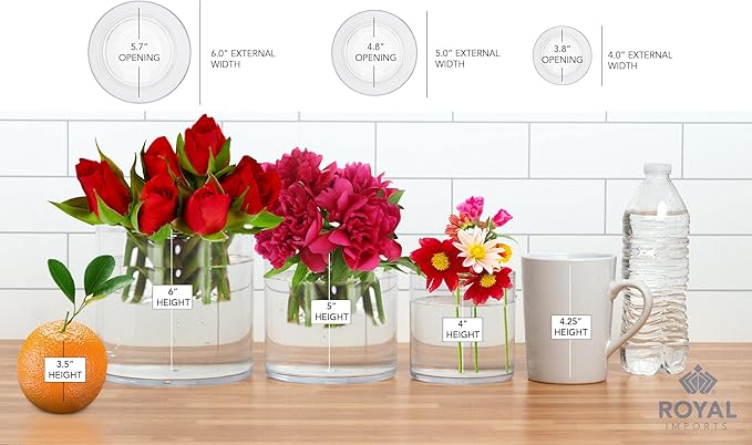 Royal Imports Flower Acrylic Vases Cylinders - Decorative Centerpiece for Home or Wedding - Non Breakable Plastic, 1-Set of 3 Sizes: 4", 5", 6" - Clear