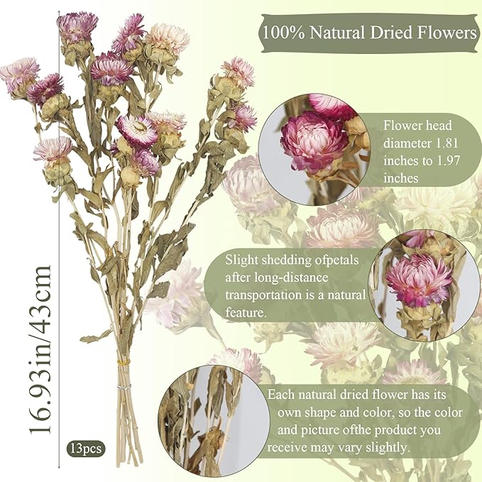 13 Pcs Dried Daisy Flower Bouquet Natural Dried Gerber Daisies Flowers Bundles Real Dried Flowers Mums Chrysanthemum Floral Arrangements for Wedding Party Table Centerpiece Decor Farmhouse