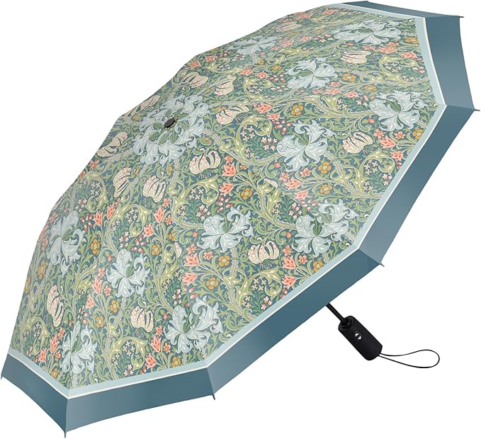 RainCaper Folding Travel Umbrellas