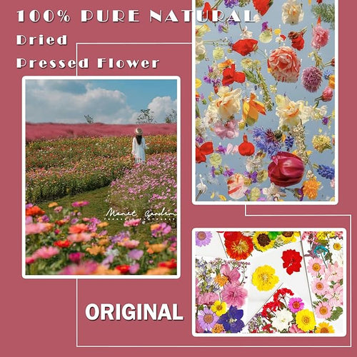 101Pcs Pressed Dried Flowers for Resin Molds, Real Natural Bulk Dry Floral Leave for DIY Art Crafts, Epoxy Jewelry, Candle, Soap Making, Nails Decors