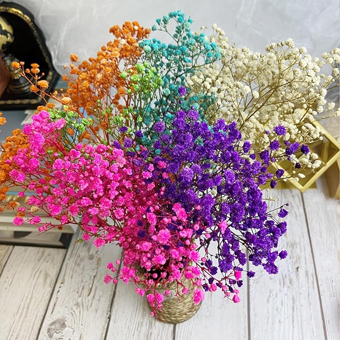 Preserved Baby's Breath, 100% Natrual Gypsophila Long Lasting Flowers for Vase Arrangements Home Decoration Photo Props Parties and Weddings, DIY Décor-Mix