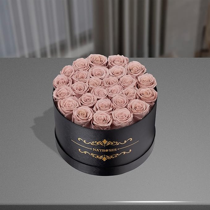 NATROSES 27 Piece Forever Preserved Roses in a Box, Preserved Flowers for Delivery Birthday, Flowers Gifts for Mothers Day, Dusty Pink