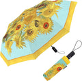RainCaper Folding Travel Umbrellas
