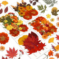 Augshy Fall Dried Pressed Flowers,100 Pcs Autumn Dried Flowers Leaves for Resin Molds Real Pressed Flowers for Crafts DIY Jewelry Molds, Scrapbooking, Candle