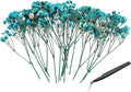 PATIKIL Mini Dried Gypsophila Flower Kit, 30Pcs 4 Inch Mist Blue Natural Pressed Floral Bundles with Tweezer for DIY Resin Crafts Gift Wedding Christmas Card Decor Flower Bouquets