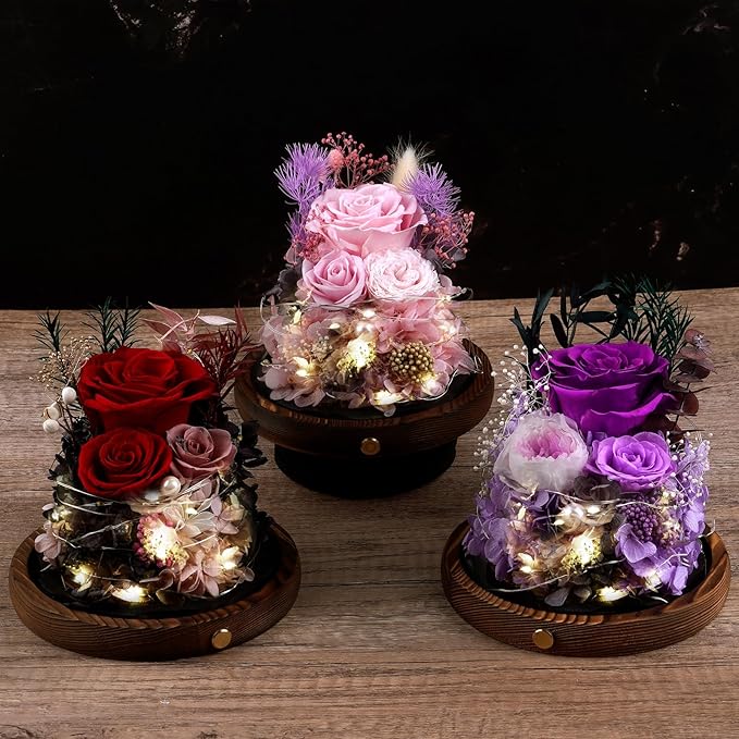 Large Preserved Flowers with Card&Box-Flowers for Delivery Prime,Eternal Rose with Lights,Roses in Glass Dome,Romantic Gift for Her,Decoration, Fresh Rose Flowers for Mom, Birthday, Anniversary (Red)